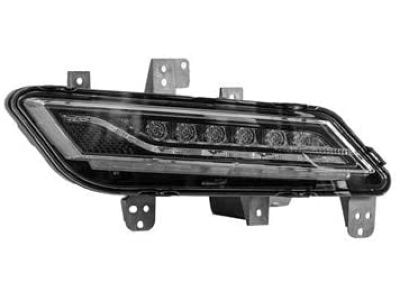 Ford DP5Z-15A201-B Fog Lamp Assembly