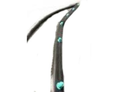 Ford DA5Z-16B990-A Front Weatherstrip