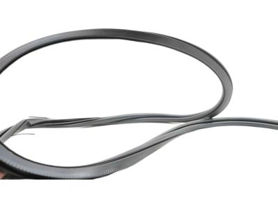 Ford CE9Z-74253A10-B Weatherstrip On Body