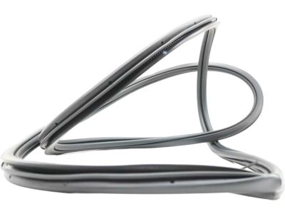 Ford CE9Z-74253A10-B Weatherstrip On Body