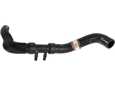 Ford 8A8Z-8286-A Lower Hose