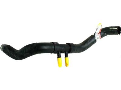 Ford 8A8Z-8286-A Lower Hose