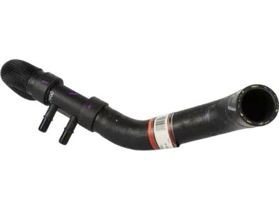 Ford 8A8Z-8286-A Lower Hose