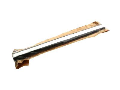 Ford 6L1Z-7821452-B Belt Weatherstrip