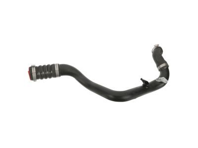 Ford BL3Z-6C646-B Upper Hose