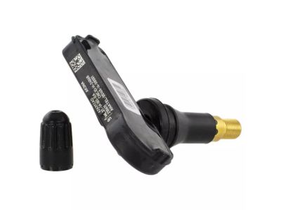 Ford ML3Z-1A189-B KIT - TPMS SENSOR