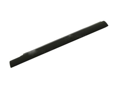 Ford YL3Z-1625597-AA Belt Weatherstrip