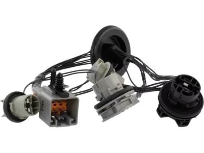 Ford DT1Z-13K371-F Socket & Wire