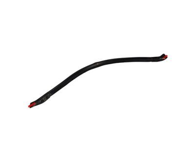 Ford FL3Z-16B990-A Front Weatherstrip