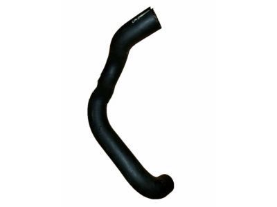 Ford YW7Z-8286-BA Lower Hose