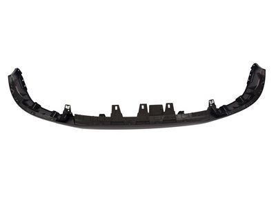 Ford JL3Z-17D957-BAPTM Upper Molding