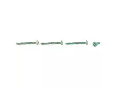 Ford -W790069-S900 Grip Handle Screw