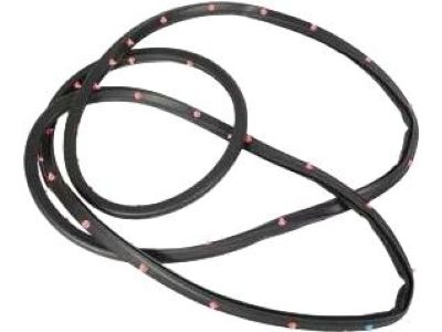 Ford CJ5Z-7820531-A Door Weatherstrip