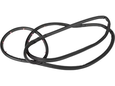 Ford CJ5Z-7820531-A Door Weatherstrip