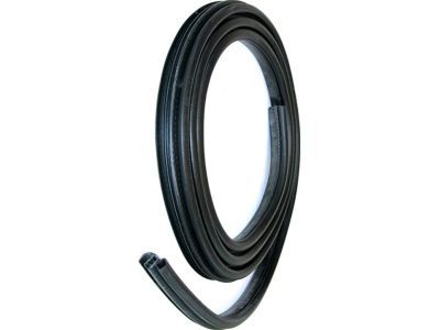 Ford F2UZ-1520709-A Weatherstrip