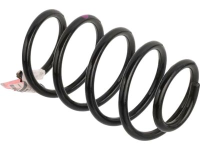 Ford DV6Z-5310-E Coil Spring
