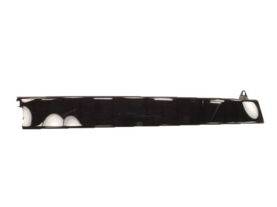 Ford 8L8Z-7820555-AA Upper Molding
