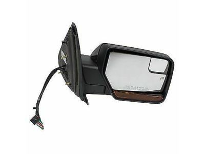 Ford CL1Z-17682-CBPTM Mirror Assembly