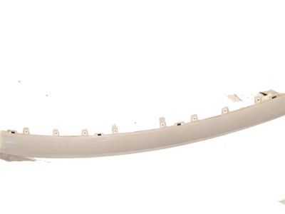 Ford JL3Z-17D957-CAPTM Upper Molding