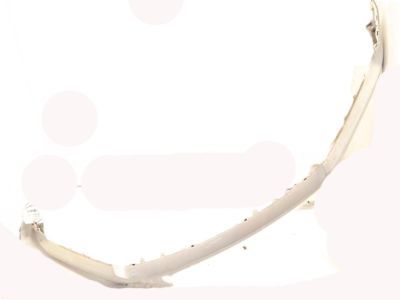 Ford JL3Z-17D957-CAPTM Upper Molding