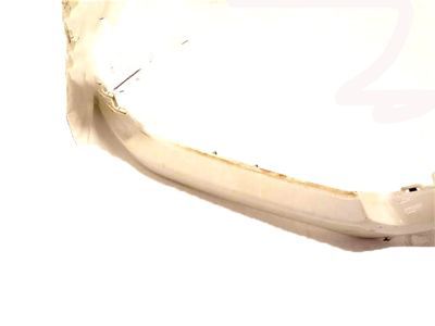 Ford JL3Z-17D957-CAPTM Upper Molding