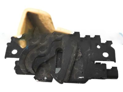 Ford AM5Z-16700-C Latch