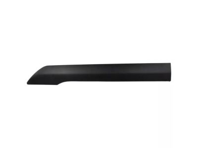 Ford DT1Z-6120879-BC Body Side Molding