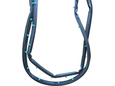 Ford FT4Z-5825325-B Door Weatherstrip