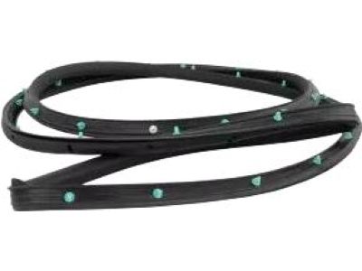 Ford FT4Z-5825325-B Door Weatherstrip