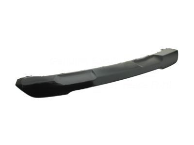 Ford FB5Z-8419-APTM Lower Molding