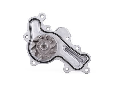 Ford DG1Z-8501-D Water Pump Assembly