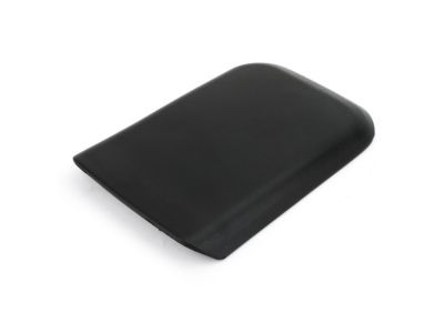 Ford 5R3Z-6306024-AAC Compartment Door