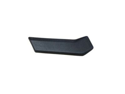 Ford FL3Z-16490-DA Step Pad