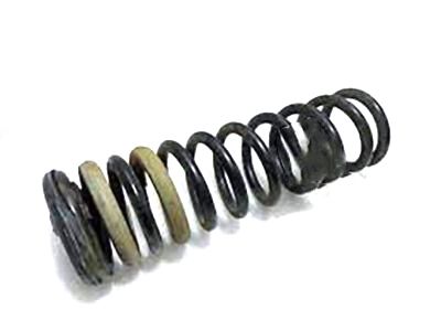 Ford CV6Z-5560-L Coil Spring