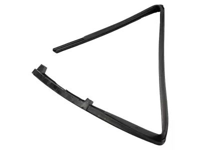 Ford FL3Z-1521597-E Run Channel