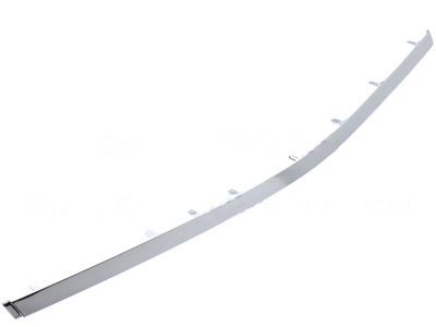 Ford FA1Z-17K945-AA Center Molding