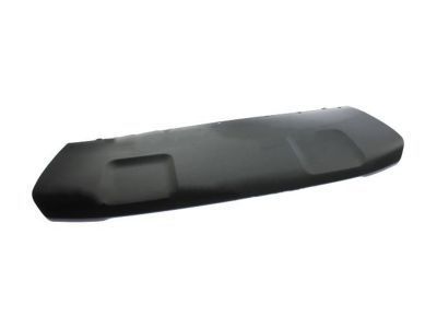 Ford GN1Z-17D957-NB Center Cover