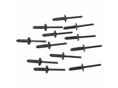 Ford -N804863-S Reinforcement Rivet