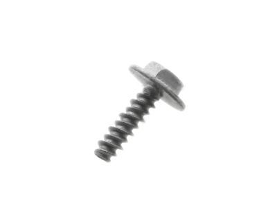 Ford -W704874-S439 Pad Screw