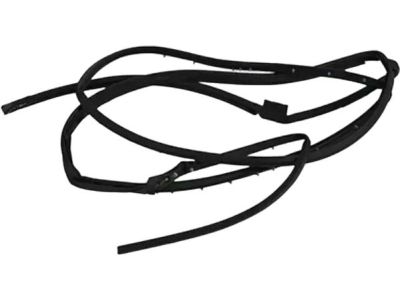 Ford 8A5Z-5425325-A Door Weatherstrip
