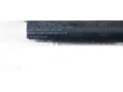 Ford GJ7Z-78406A10-A Lift Cylinder