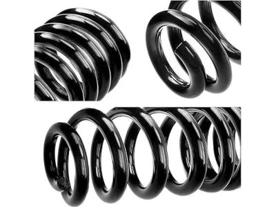 Ford 9C2Z-5310-P Coil Spring