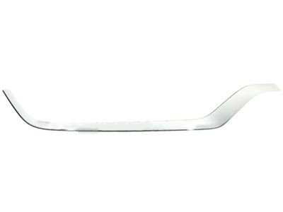 Ford FA1Z-17K946-AA Outer Molding