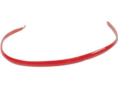 Ford 5R3Z-6320938-AAB Body Side Molding