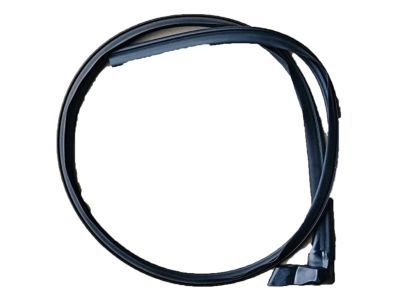 Ford 9L8Z-7851222-A Roof Weatherstrip