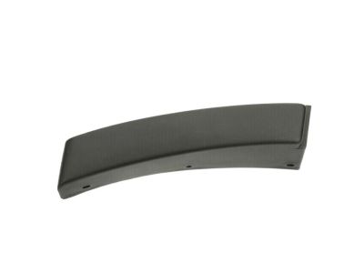 Ford YL8Z-7829038-DAB Lower Molding
