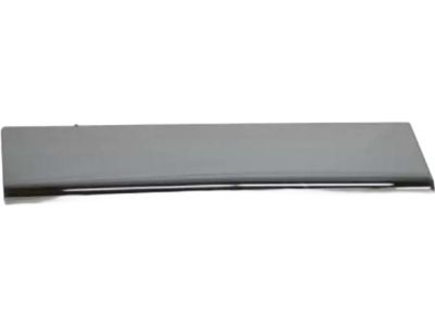 Ford 5L3Z-1625556-AA Side Molding