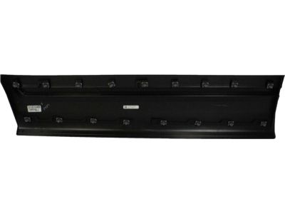 Ford HB5Z-7820878-AA Lower Molding