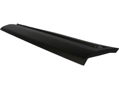 Ford HB5Z-7820878-AA Lower Molding