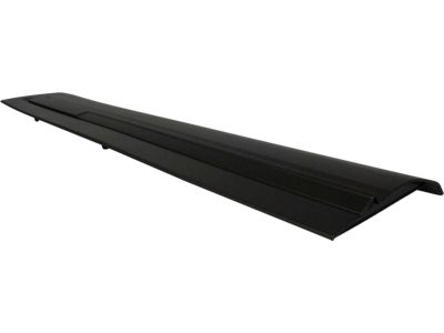 Ford HB5Z-7820878-AA Lower Molding